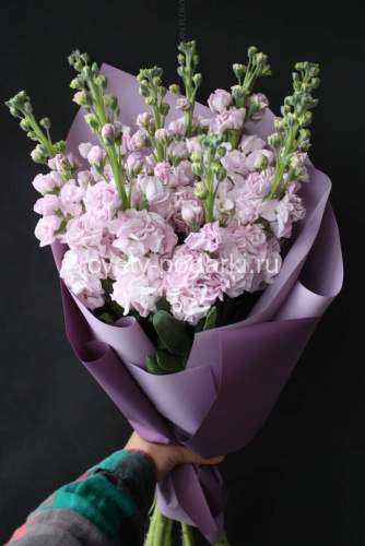 Букет 9 маттиол