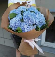 Букет гортензий «Niko Blue»