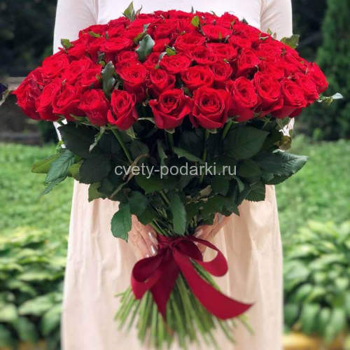 Букет из 101 розы 50 см  