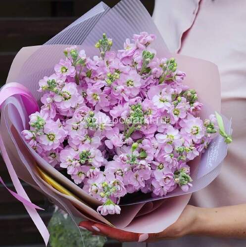 Букет 19 маттиол  